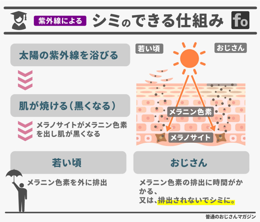 おじさんのシミのできる仕組み