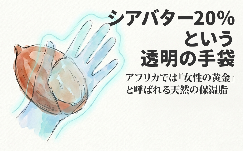 ロクシタン-シア-ハンドクリームのレビュー_シアバター20